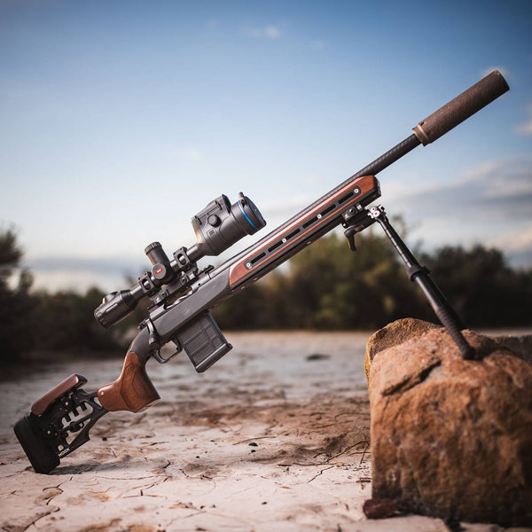 ウクウク Volquartsen custom 10/22 - WOOX