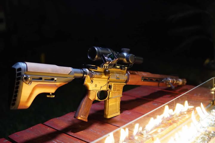 WOOX Vigilante AR Build with Walnut Furniture and Tactical Upgrades - WOOX