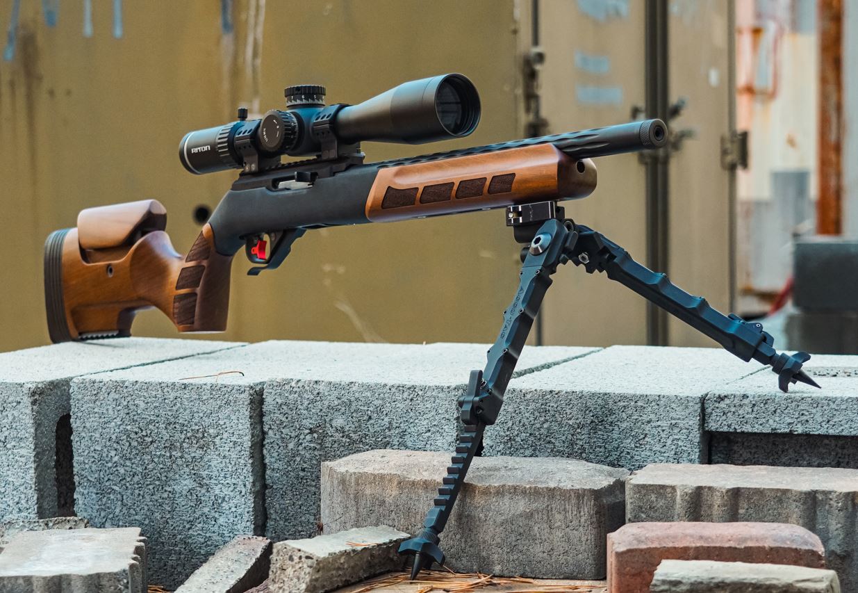 Best Ruger 10/22 stocks - WOOX