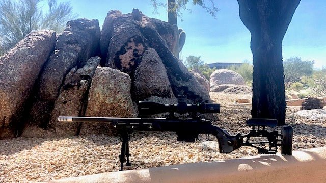 Crafting Excellence: The Custom Build Experience with the BERGARA B14R 17hmr and WOOX Furiosa Stock - WOOX