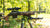 Custom Rifle Build: Ruger American Ranch Gen 2 .308
