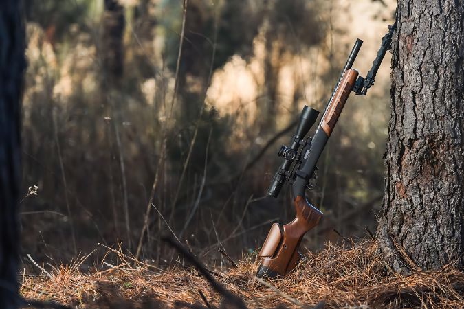 Ruger 10/22 Walnut Stock Upgrade Guide: Fitment, Barrel Channel, and Stock Selection - WOOX