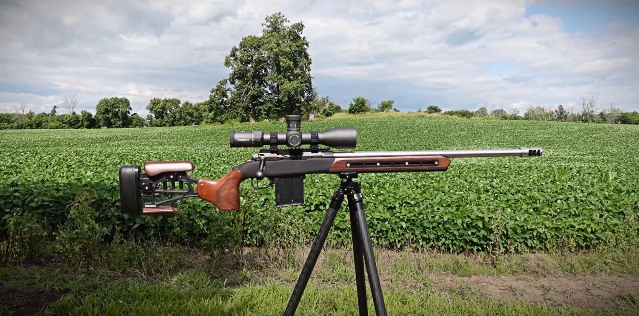 AR-15 Variants Explained: Carbine, Mid-Length, Rifle - WOOX