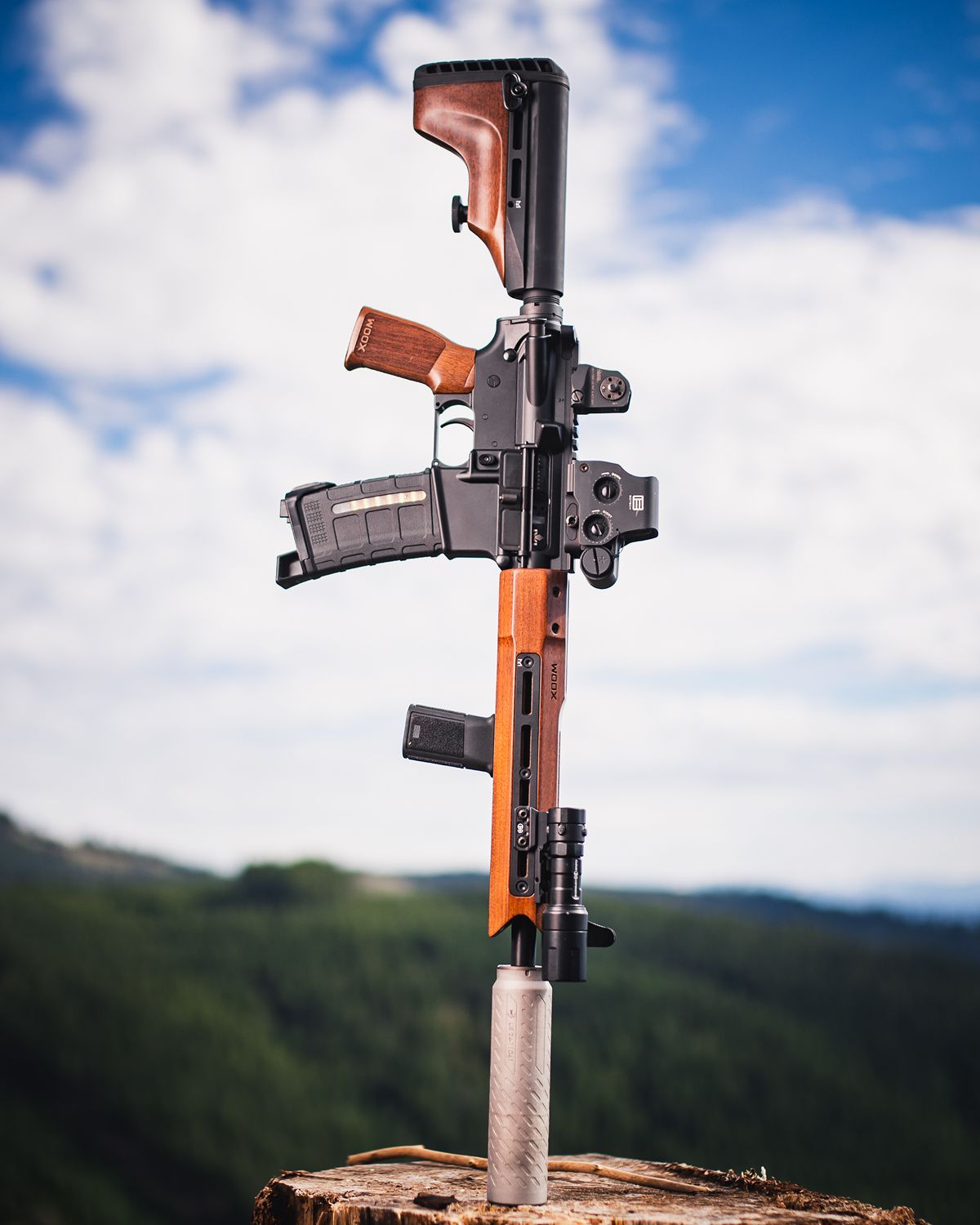 AR-15 Variants Explained: Carbine, Mid-Length, Rifle - WOOX