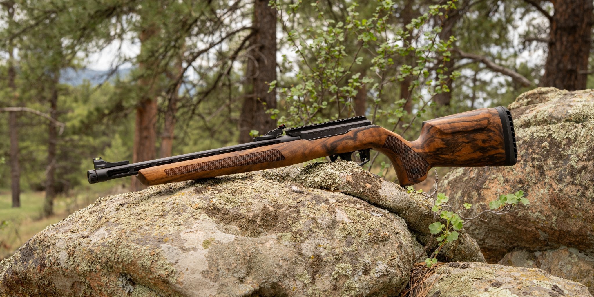 ELEGANTE - WOOX