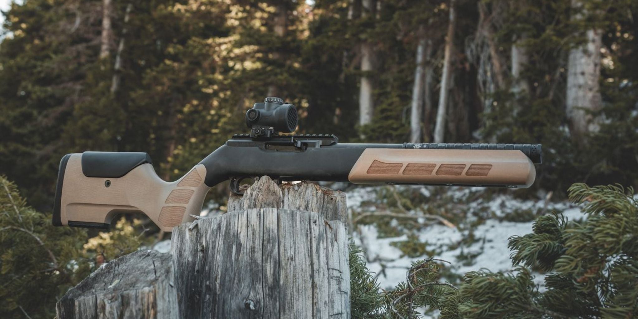 EXACTUS - Precision Stock - Stocks & Chassis - WOOX