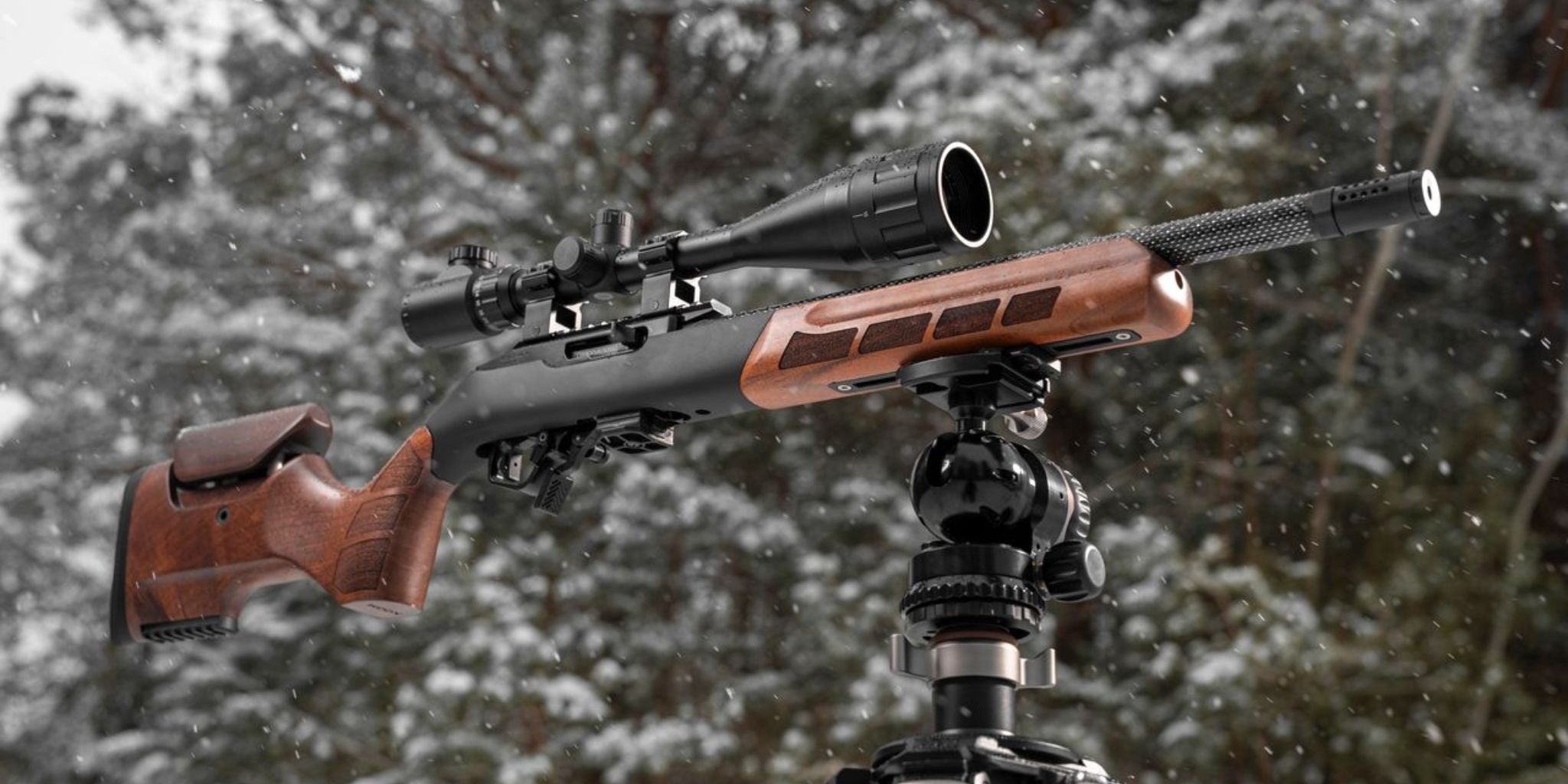 EXACTUS - Precision Stock - Stocks & Chassis - WOOX