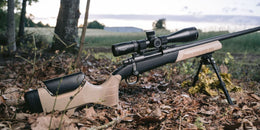 EXACTUS - Precision Stock - Stocks & Chassis - WOOX