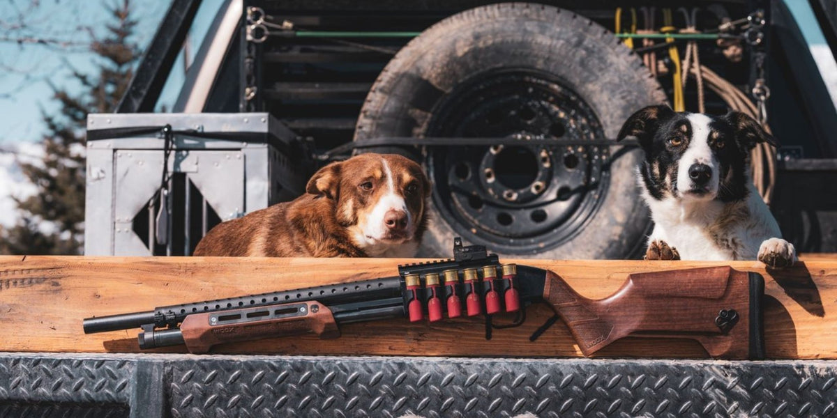 GLADIATORE Stock + Fore End Kit - Gladiatore - WOOX