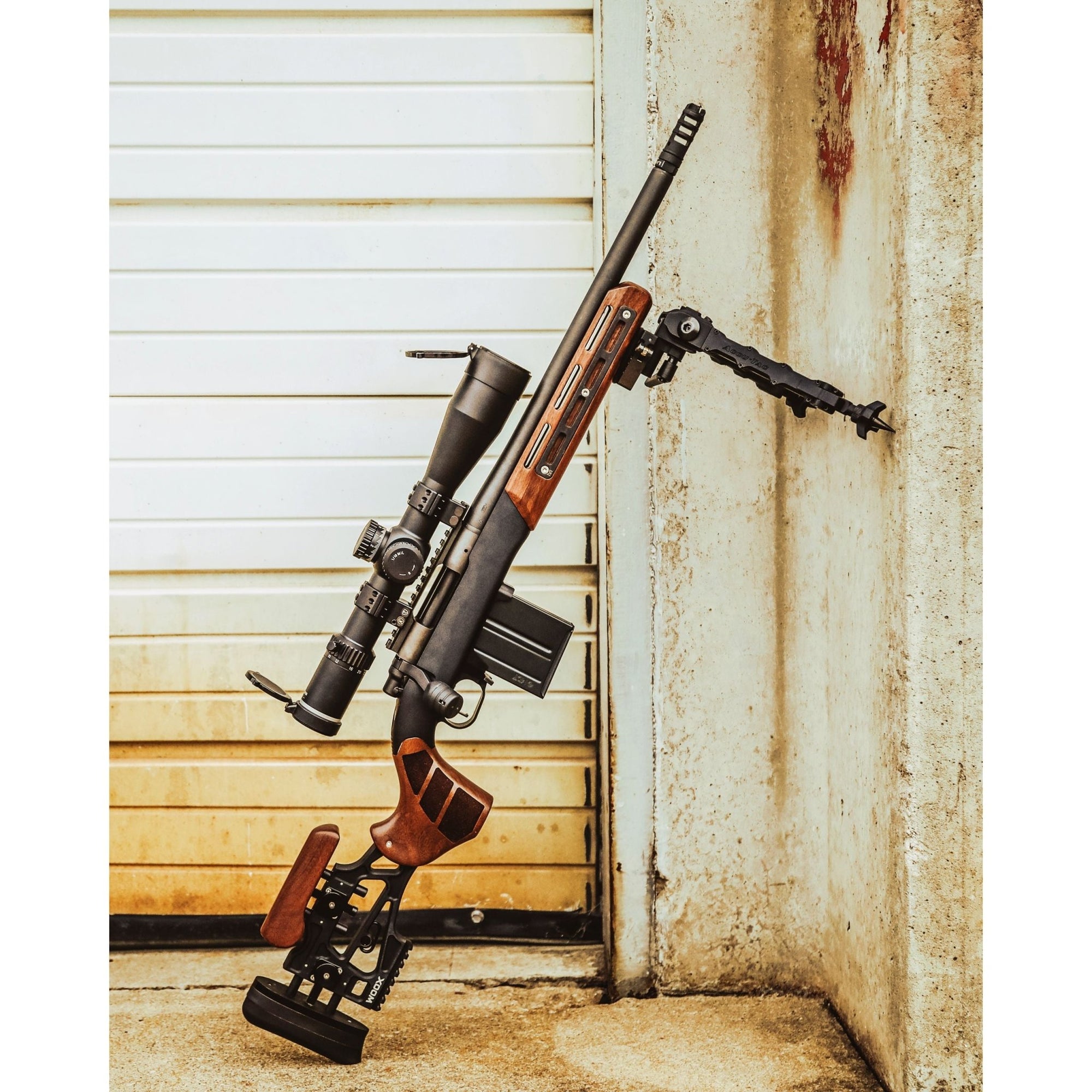 WOOX | Ruger 10/22 Stocks & Chassis (and clones) - WOOX